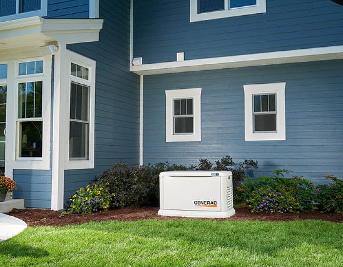 About Professional Power Systems Inc.